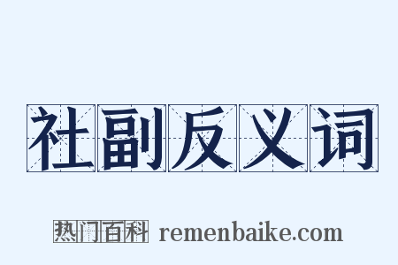 社副反义词是什么意思的图片